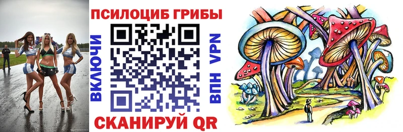 Купить где  Липецк  Галлюциногенные грибы мухоморы 
